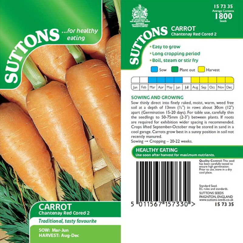 157335 Carrot Chantenay Red Cored 2