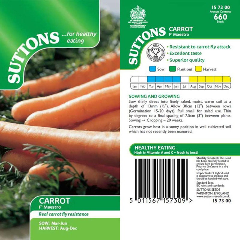 157300 Carrot F1 Maestro