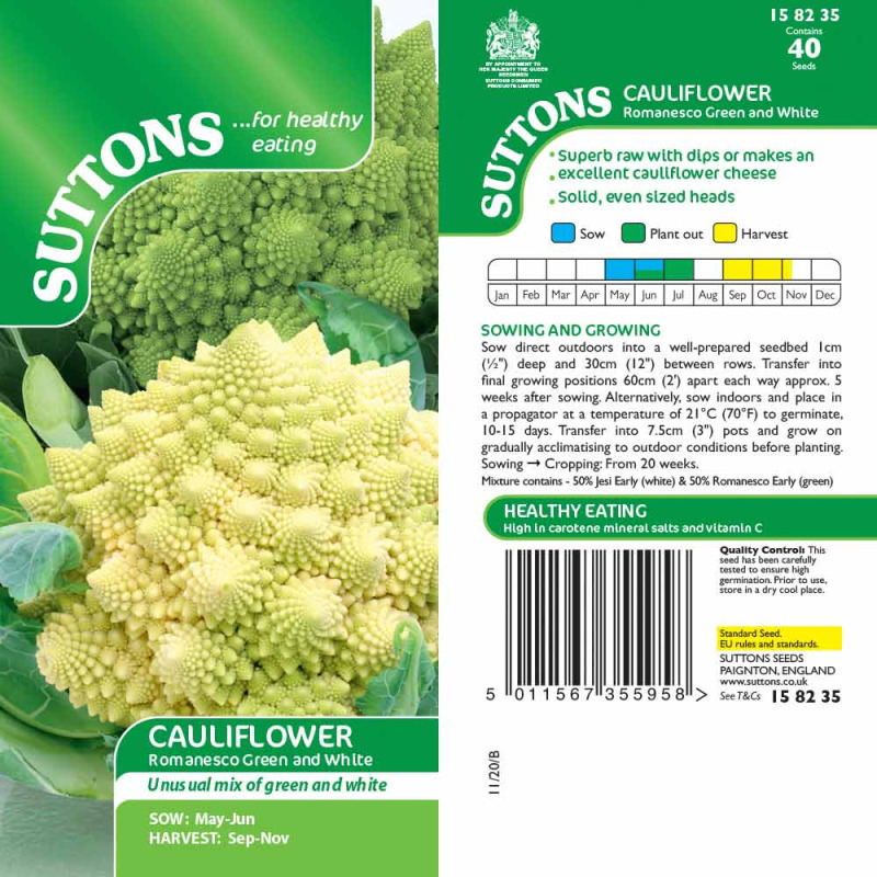 158235 Cauliflower Romanesco Green and White