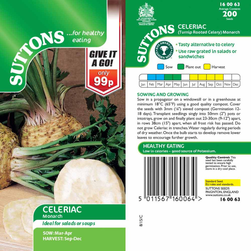 160063 Celeriac Turnip Rooted Celery Monarch