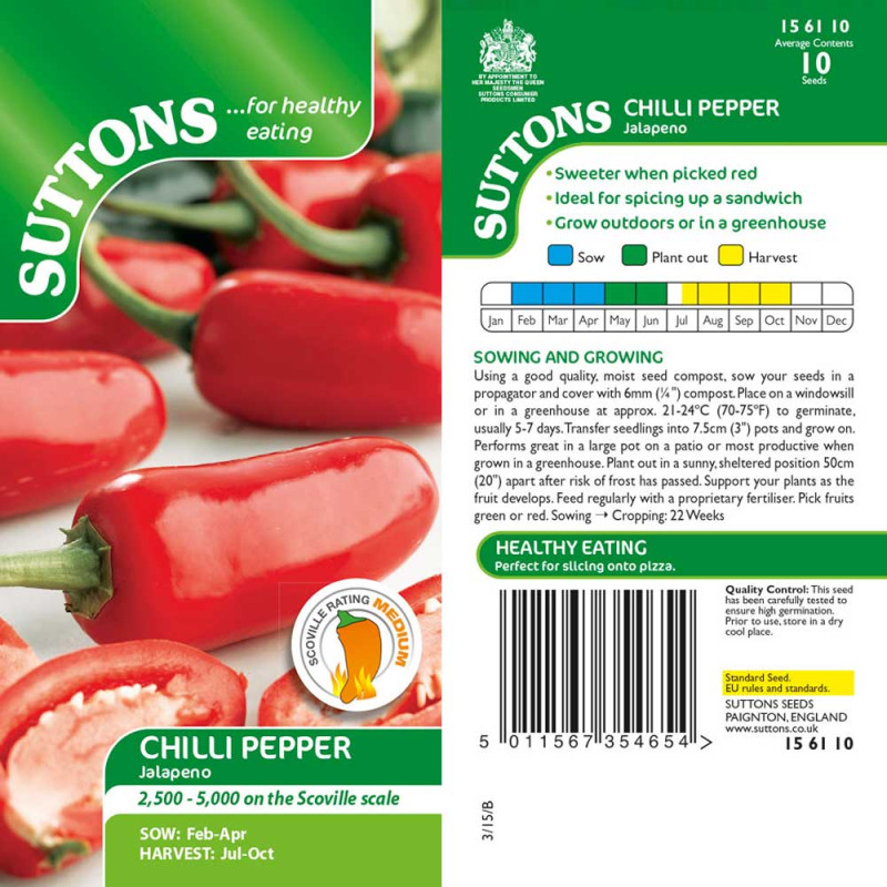 156110 Chilli Pepper Jalapeno
