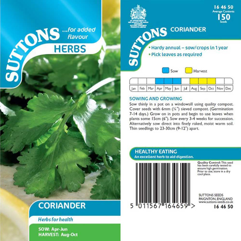 164650 Coriander