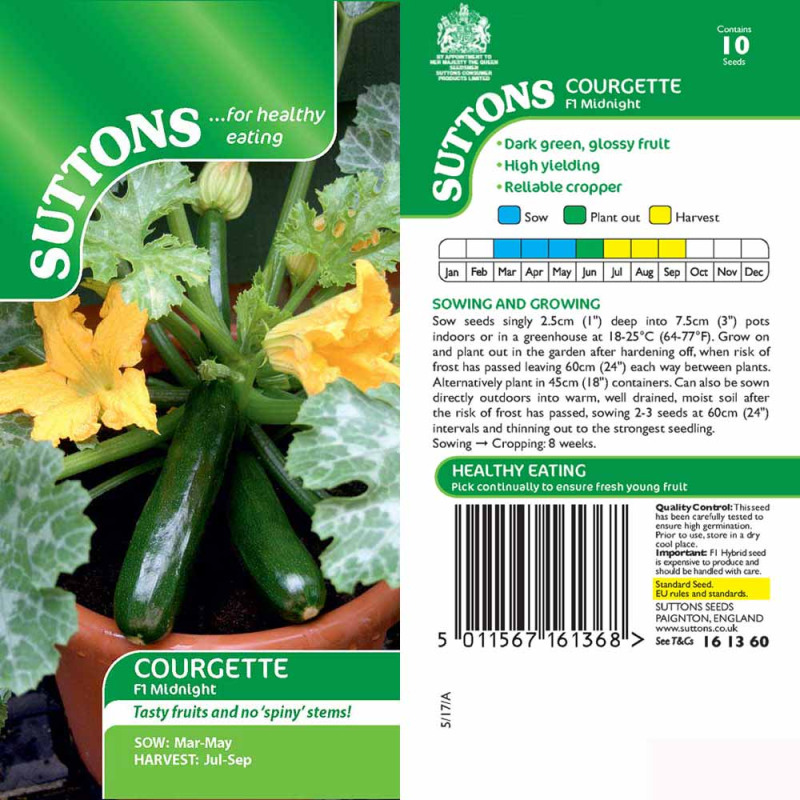 161360 Courgette F1 Midnight