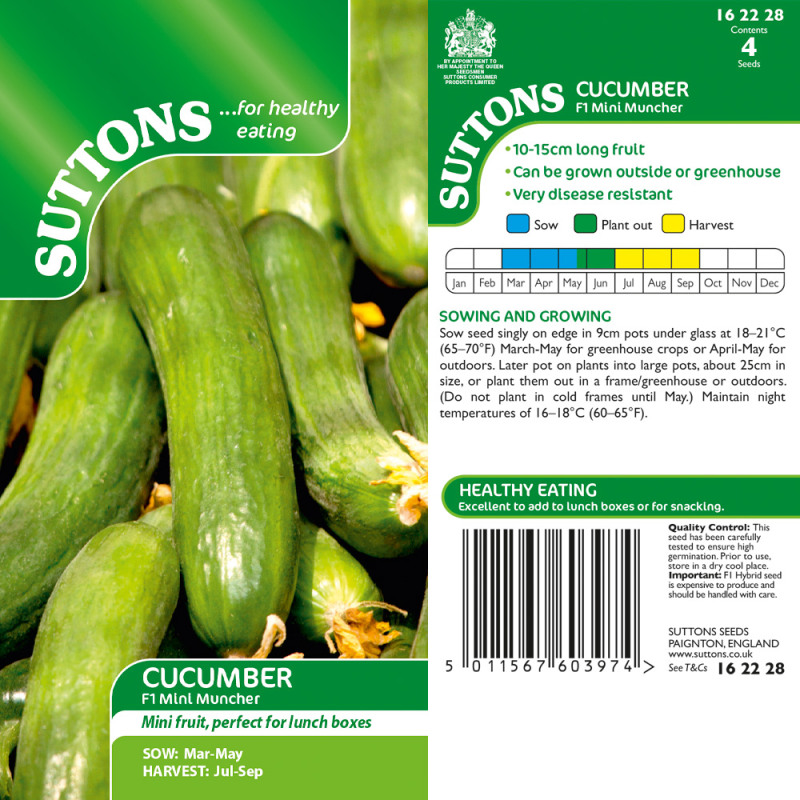 162228 Cucumber F1 Mini Muncher