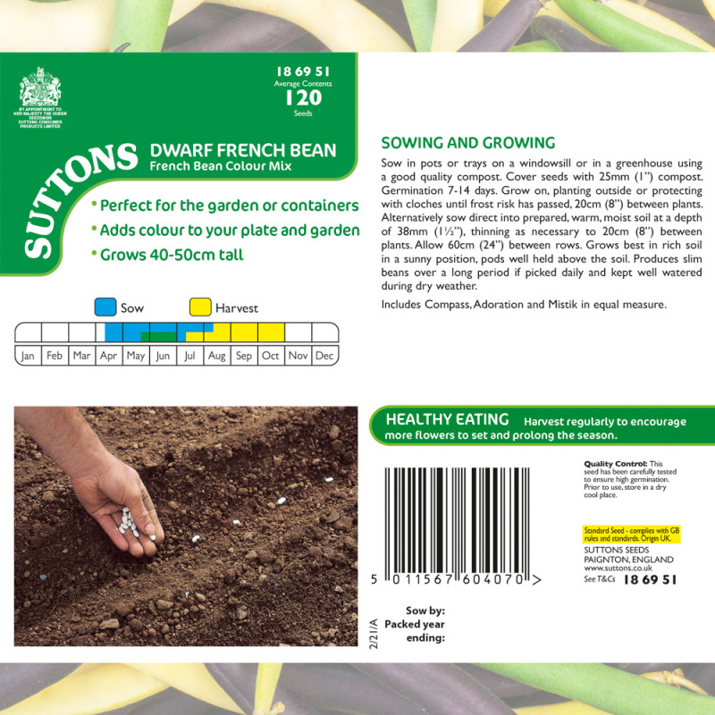 186951 Dwarf French Bean Colour Mix b