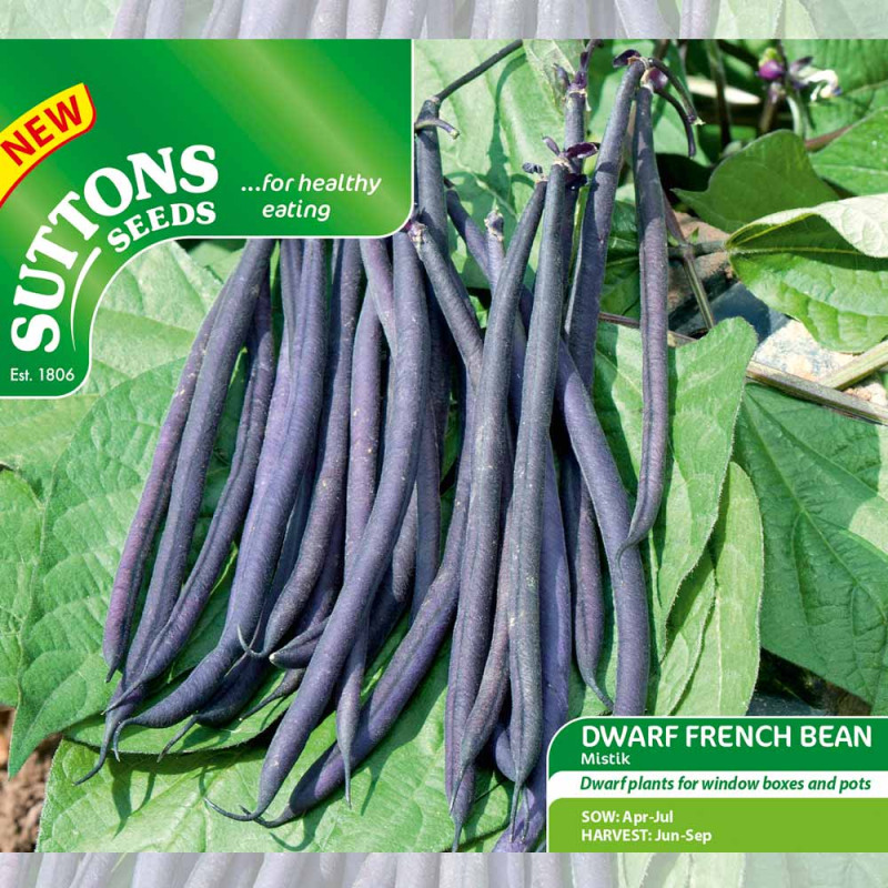 197020 Dwarf French Bean Mistik f
