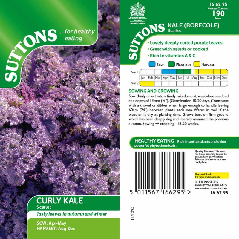 166295 Curly Kale Scarlet