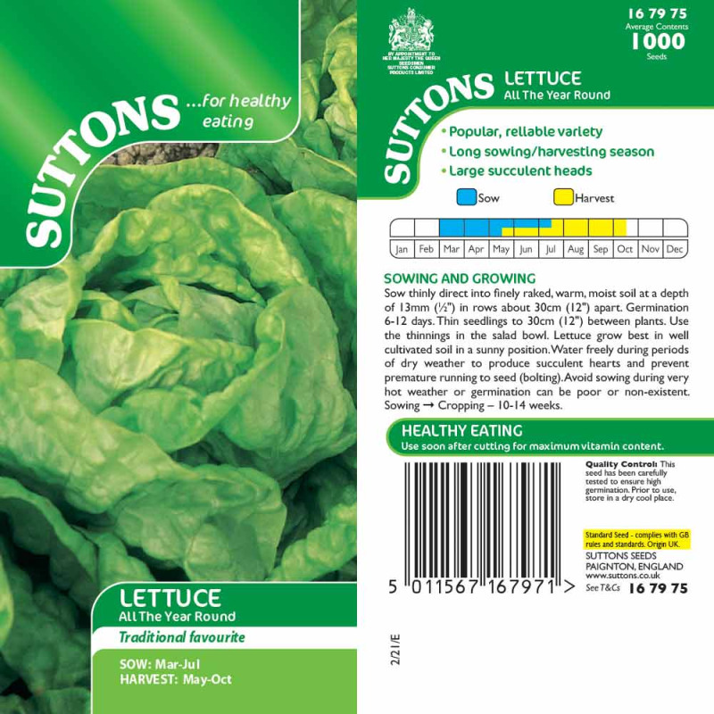 167975 LETTUCE All the Year Round