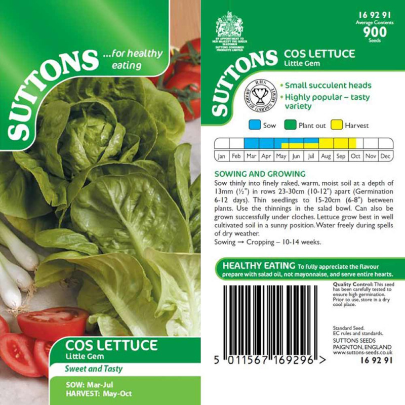 169291 Cos Lettuce Little Gem