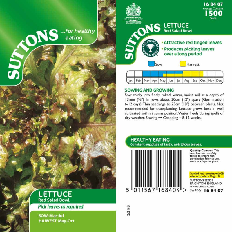 168407 LETTUCE Red Saladf Bowl