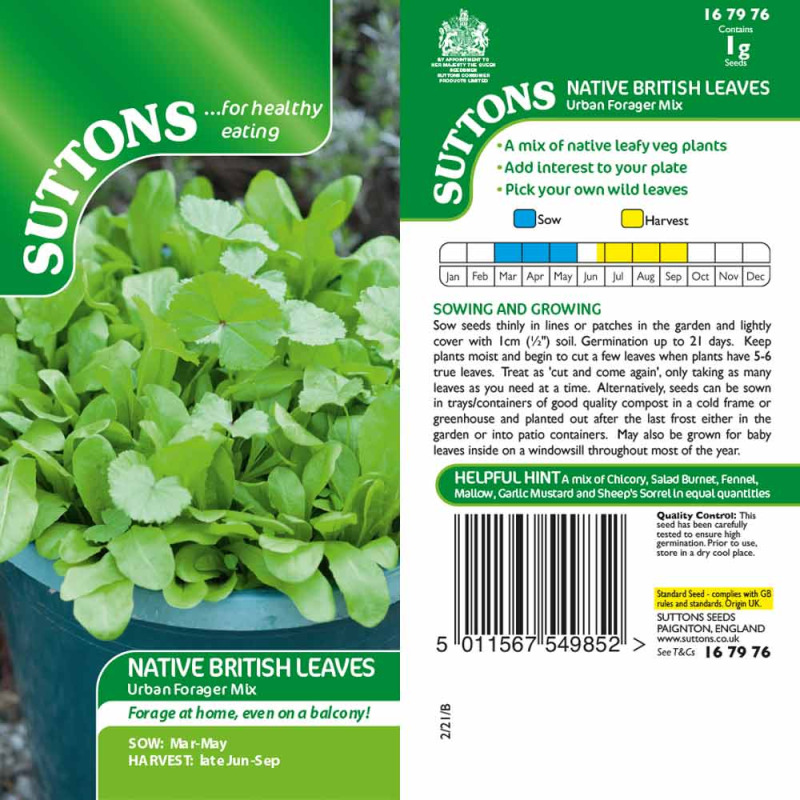 167976 NATIVE BRITISH LEAVES Urban Forager Mix