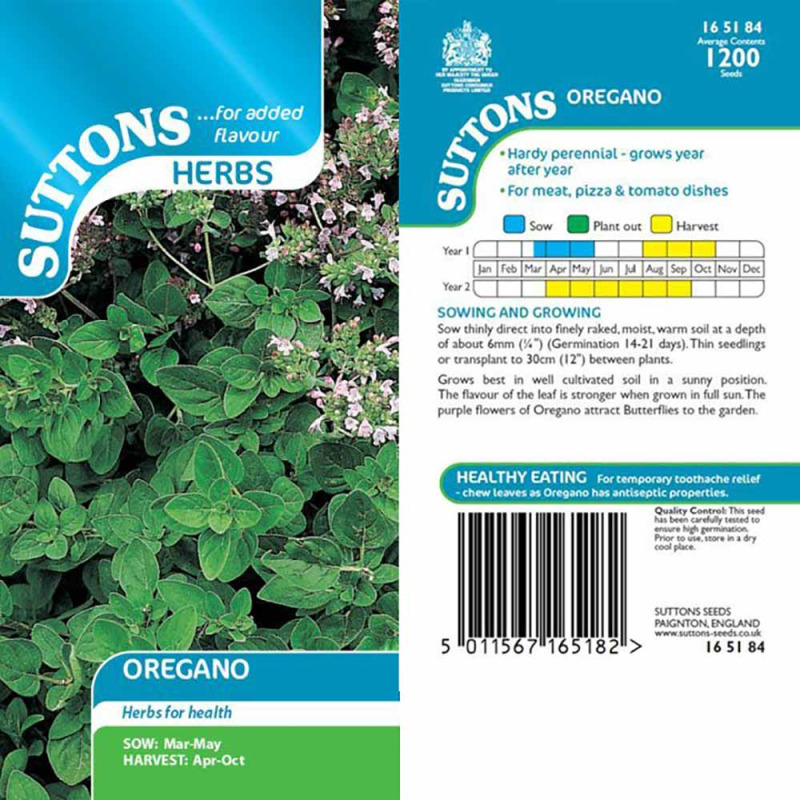 165184 Oregano