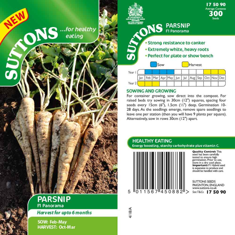 175090 PARSNIP F1 Panorama
