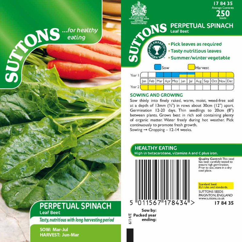 178435 PERPETUAL SPINACH Leaf Beet