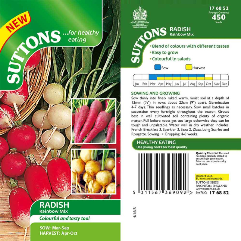 176852 Radish Rainbow Mix