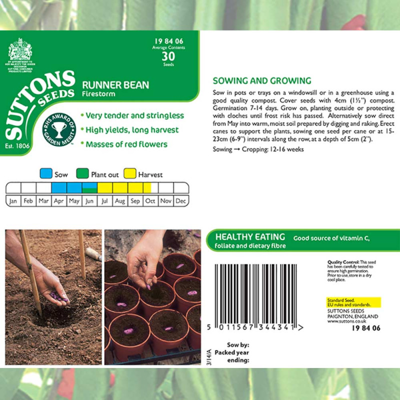 198406 Runner Bean Firestorm b