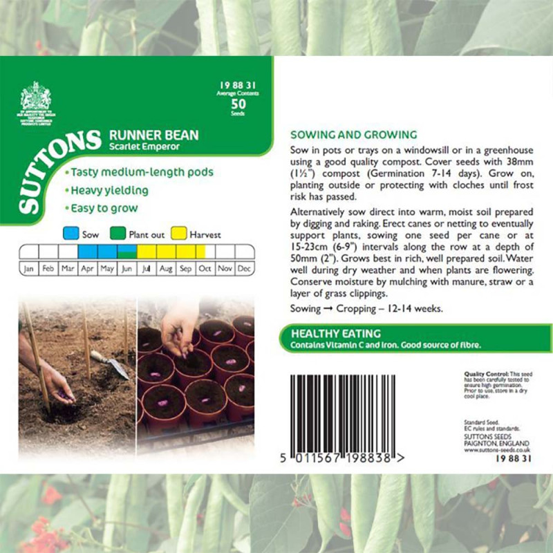 198831 Runner Bean Scarlet Emperor b