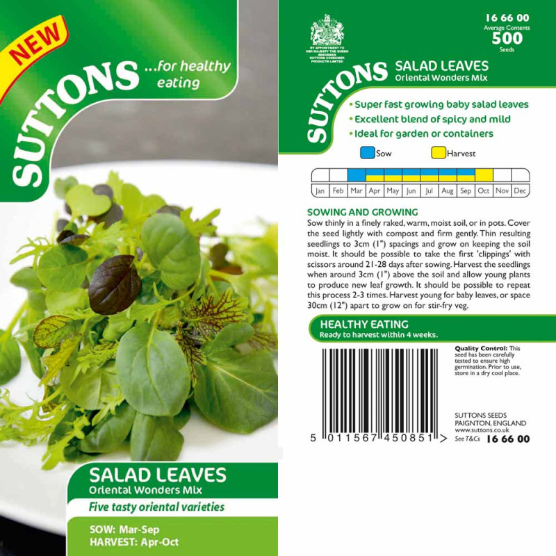 166600 Salad Leaves Oriental Wonders Mix