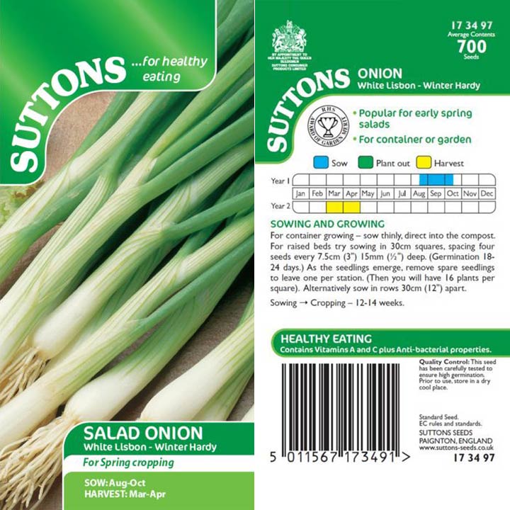 173497 Onion White Lisbon