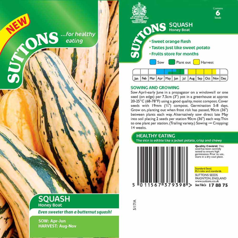 178875 Squash Honey Boat