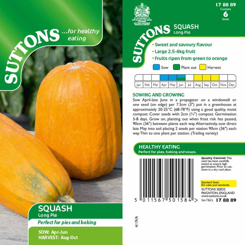 178889 SQUASH Long Pie