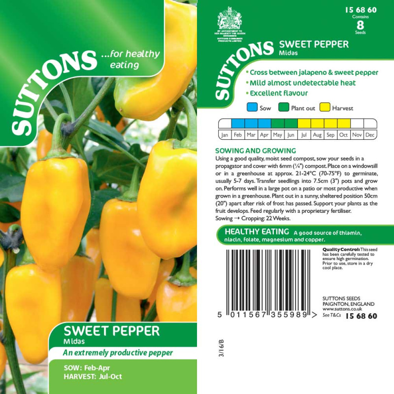 156860 Sweet Pepper Midas