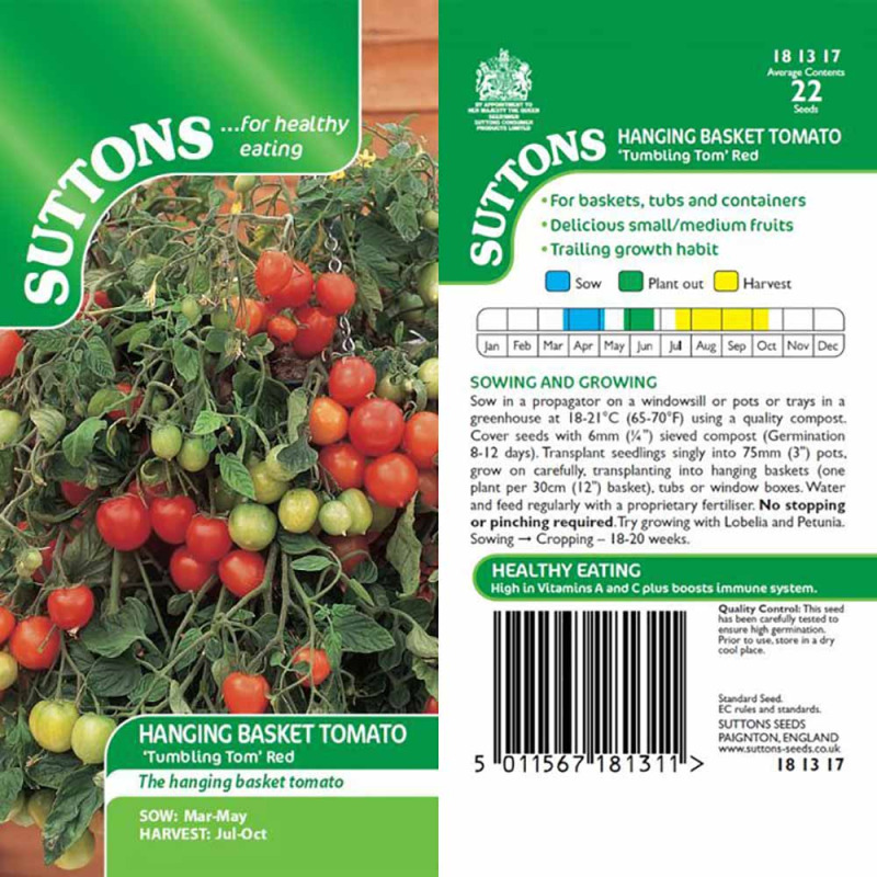 181317 Hanging Basket Tomato Tumbling Tom Red