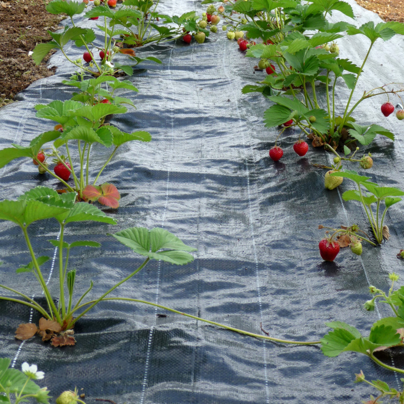 Mypex Weed Control Ground Cover