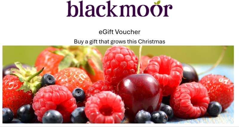 EGift Voucher