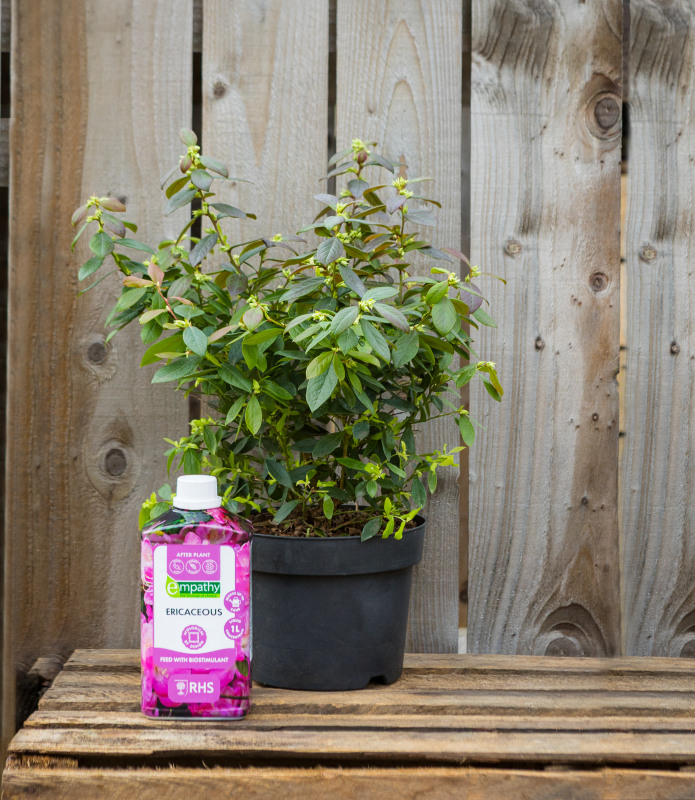 001 Blackmoor Nursery Feb26 1212 Tw