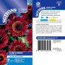 133077 Sunflower Ruby Sunset