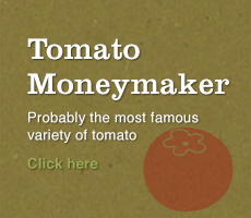 Tomato Moneymaker Banner