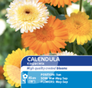 Calendula Kinglet Mix