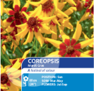 Coreopsis Mardi Gras