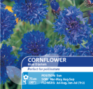 Cornflower Blue Diadem