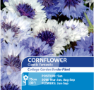 Cornflower Classic Fantastic