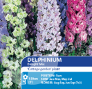 Delphinium Delight Mix