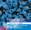 Forget-Me-Not Spring Symphony Blue
