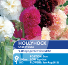Hollyhock Chater's Mix