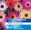 Livingstone Daisy Sparkles Mix