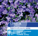 Lobelia Supacoat Crystal Palace