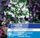 Lobelia Supacoat String of Pearls