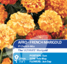Afro French Marigold F1 Zenith Mix