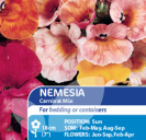 Nemesia Carnival Mix