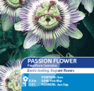 Passion Flower Passiflora caerulea