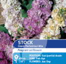 Stock Giant Perfection Mix