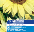 Sunflower Moonshine