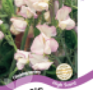 Sweet Pea High Scent