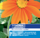 Tithonia Orange Sunshine