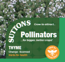 Thyme Orange Scented